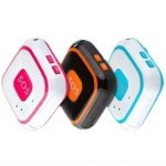 Enviro Forest Industrial Carbon Monoxide Detection Device - Exib IIB T3 Gb Explosion-proof Grade