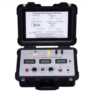10kV Digital Insulation Resistance Tester with Adjustable Voltage and Anti - Interference – Enviro Forest
