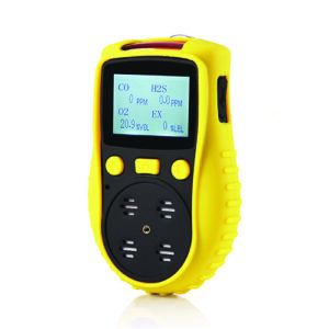 Enviro Forest Ammonia Harmful Combustible Gas Detector - IP 66 Degree of Protection