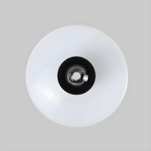 Enviro Forest Hygrometer Weather Station