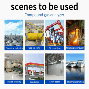 Enviro Forest Flue Gas Analyzer