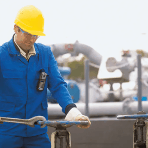 Enviro Forest Multi Gas and Carbon Monoxide Gas Detector