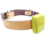 Mini GPS Tracker for Pets with Waterproof and Geofence Feature – Enviro Forest