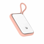 Enviro Forest Radiation Dosimeter Measuring