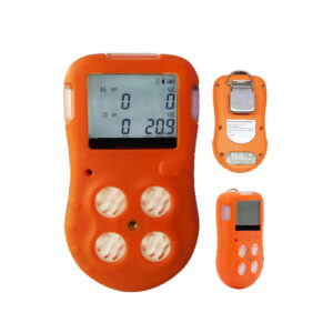 EFOHSGD-117-4.jpg Enviro Forest Hydrogen Sulfide Multiple Gas Analyzer