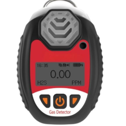 Advanced H2S Gas Detector with Multi Alarm and Data Logging– Enviro Forest