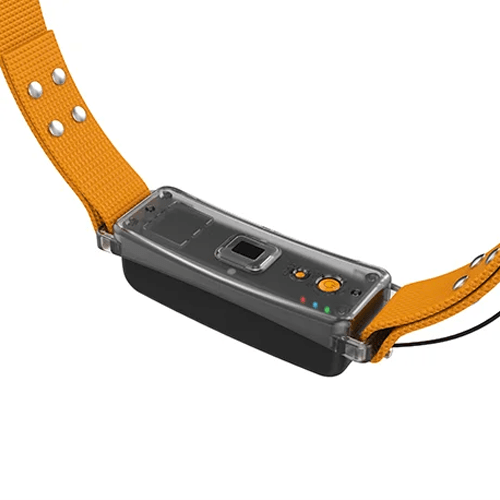 LoRaWAN GPS Tracker with 12KM Range, 38000mAh Battery – Enviro Forest