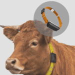 EFOIoTS-1162.png LoRaWAN GPS Tracker with 12KM Range, 38000mAh Battery – Enviro Forest