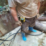 Enviro Forest Ozone Gas Detector