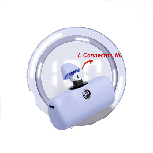 Mini Power Bank PD Fast Charging with Plug – Enviro Forest