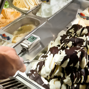 Enviro Forest Temperature Probe Data Logger