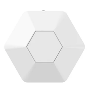 Bluetooth to LoRaWAN Gateway – Enviro Forest