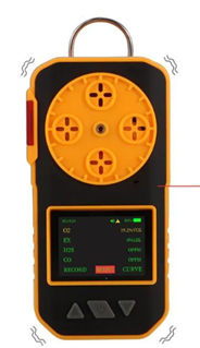 Enviro Forest Gas Analyzers and alarm detector