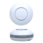 Gas Detector for CO LPG and Natural Gas with Alerts – Enviro Forest