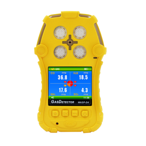 Gas Detector for H2S/CO/LEL/O2 (High Accuracy, Dust Proof)