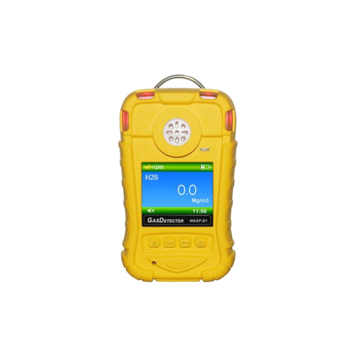 Hydrogen Sulfide Gas Detector (Storage, High Accuracy)