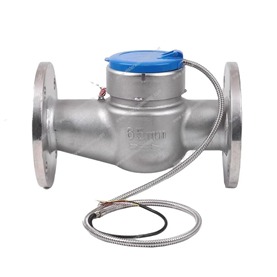 Cast Iron Water Flow Meter with Wide Range and High Accuracy – Enviro Forest